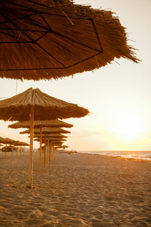 straw umbrellas on the beach near the ocean and seaの写真素材
