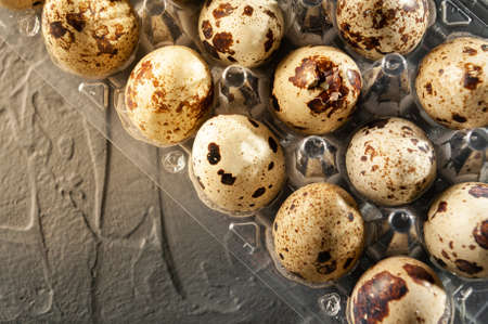 quail eggs in a plastic container on a gray background. Top viewの写真素材