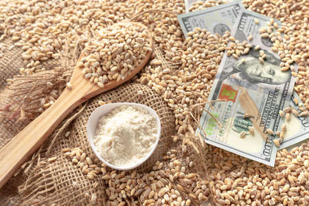 Global and European grain and wheat crisis after Russias invasion of Ukraine. Embargo and sanction for export of grain, Food of Agriculture.の写真素材