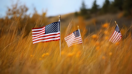 American flag on the background of a field of yellow flowers and blue skyの素材