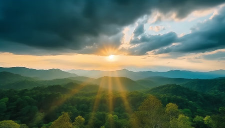 Beautiful sunset in the mountains. Landscape with green forest.の素材