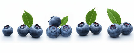 Blueberries with leaves isolated on white background. 3d illustration.の素材