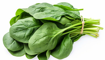 Fresh spinach leaves isolated on white background. Top view. Flat lay.の素材