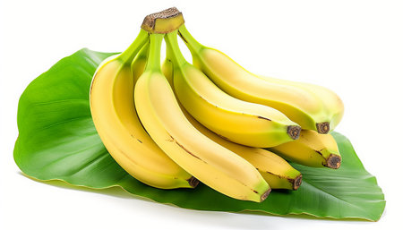 Bunch of bananas on a green leaf isolated on white background.の素材