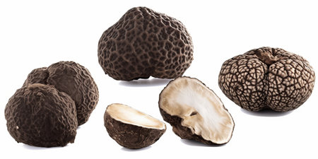Black truffles isolated on white background. Set or collection.の素材
