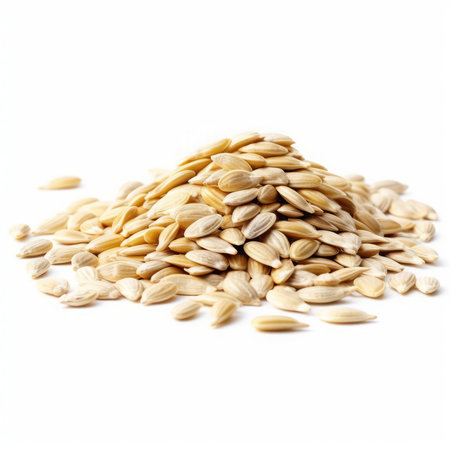 Pile of sunflower seeds isolated on white background. Close up.の素材