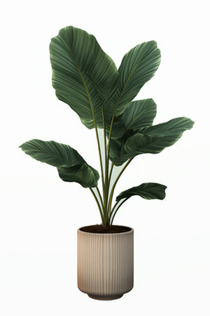 Illustration of a green plant in a pot on a white backgroundの素材