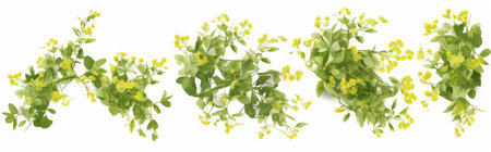 Watercolor set of green leaves and flowers isolated on a white background.の素材