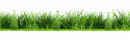 Green grass border isolated on white background. 3D illustration. Copy space.の素材