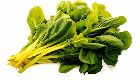 Bunch of fresh green chard isolated on a white background.の素材
