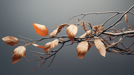 Autumn branch with leaves on a gray background. 3d renderingの素材