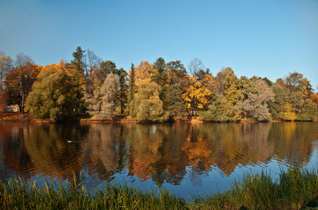 View on autumn landscape of river and trees in sunny day