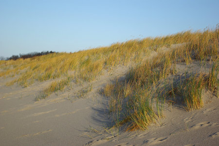 Sand dune on the coast of Baltic seaの写真素材