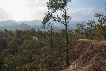 Footpath in Pai Canyon  Kong Lan  in Mae hong son, northern Thailandの写真素材