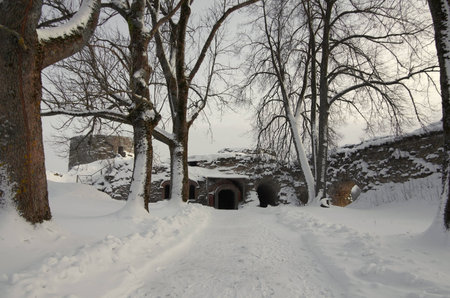 Ruins of Koporie fortress in the winter, near Saint-Petersburg, Russiaのeditorial素材