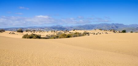 Maspalomas Dunes on the coast of Atlantic ocean on Gran Canaria, Canary islands, Spainの写真素材