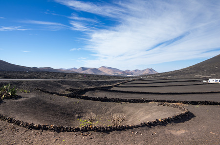 Typical vineyards in La Geria, Lanzarote, Canary Islands, Spainの写真素材