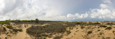 Dunes de La Marina on the coast of Mediterranean sea, Costa Blanca, Spainの写真素材