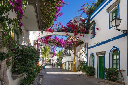 PUERTO DE MOGAN, GRAN CANARIA, CANARY ISLANDS - JANUARY 04, 2014: Pedestrian alley in the harbor...