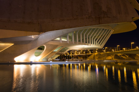 VALENCIA, SPAIN - OCTOBER 07, 2014: El Palau de les Arts Reina Sofia in the City of Arts and Sciences (Ciudad de las artes y las ciencias) in Valencia, Spainのeditorial素材