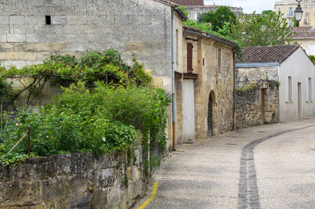 Saint-Emilion - one of the main red wine production areas of Bordeaux region, France.