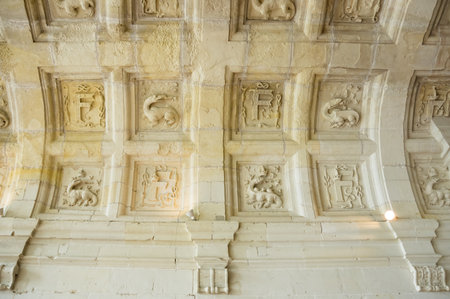The ceiling of the Chateau de Chambord, Loir-et-Cher, Franceのeditorial素材