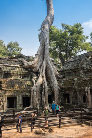 ANGKOR WAT, CAMBODIA - JANUARY 27, 2015: Unidentified tourists at Ta Prohm temple in Angkor Wat. Angkor Wat is the largest Hindu temple complex and religious monument in the worldのeditorial素材