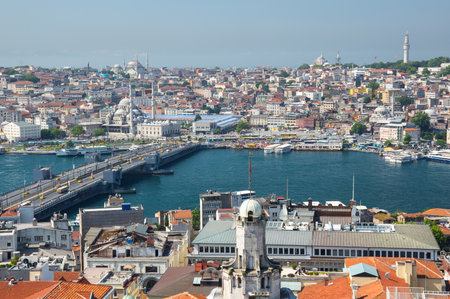 ISTANBUL, TURKEY - JUNE 25, 2015: Panoramic view of Istanbul from Galata tower, Turkeyのeditorial素材