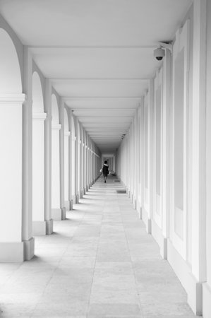 Oranienbaum is a Russian royal residence, located on the Gulf of Finland west of Saint Petersburg, Russia. The Palace ensemble are UNESCO World Heritage Sitesのeditorial素材