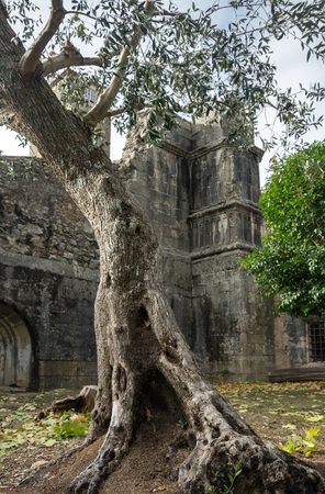 TOMAR, PORTUGAL - The Convent of Christ is a former Roman Catholic monastery in Tomar, Portugal. The convent was founded by the Order of Poor Knights of the Temple (or Templar Knights) in 1118の写真素材