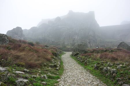 The slope of mountain Monsanto in the fog, Portugalの写真素材