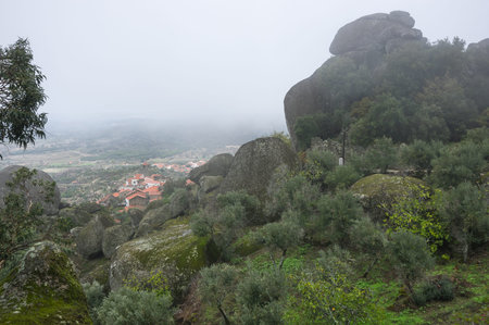 The slope of mountain Monsanto in the fog, Portugalの写真素材