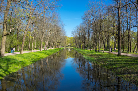 View of the Alexander Park in Pushkin, Saint-Petersburg, Russiaのeditorial素材