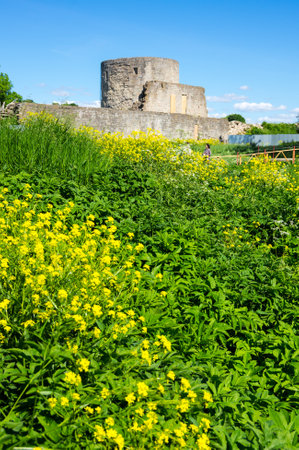 Ruins of Koporye fortress in Leningrad region near Saint-Petersburg, Russiaのeditorial素材