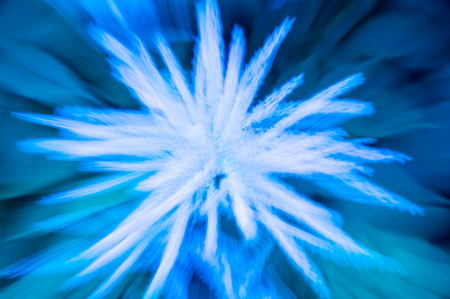 Multi-coloured background of blurred field flowersの写真素材