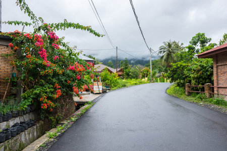 SUMATRA, INDONESIA - JANUARY 23, 2017: View of houses of village Tuktuk on island Samosir, Lake Toba, Sumatra, Indonesiaのeditorial素材