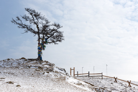 The coast of Olkhon Island at Baikal Lake, Siberia, Russiaの写真素材