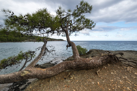 The coast of Mediterranean sea in Kemer district of Antalya Province, Turkey