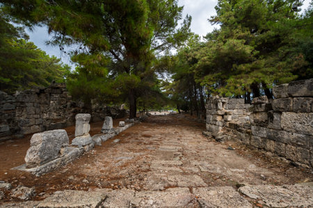 Ruins of Phaselis, ancient Greek and Roman city on the coast of ancient Lycia. Its ruins are located...