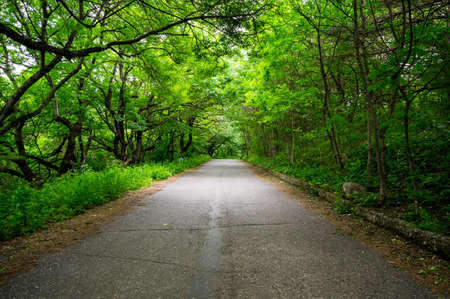 Slope of mount Mashuk in Stavropol region, Russiaの写真素材