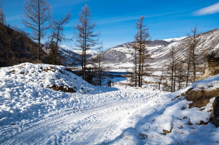 View of Altay mountains in the winter, Siberia, Russiaの写真素材