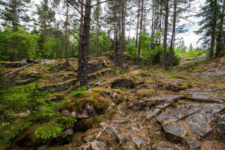 View of the mount Hiidenvuori in Karelia in the Republic of Karelia, Russiaの写真素材