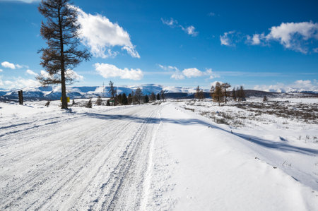 View of Ulagan Highlands in Altay mountains in the winter, Siberia, Russiaの写真素材