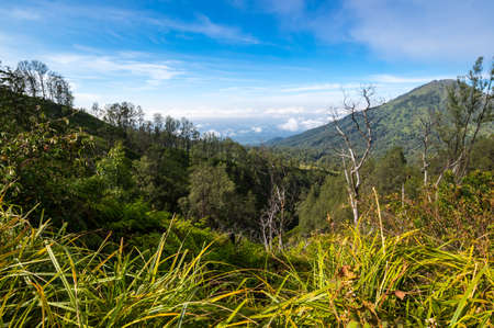 The slope of Ijen volcano in East Java, Indonesiaの写真素材