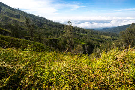 The slope of Ijen volcano in East Java, Indonesiaの写真素材