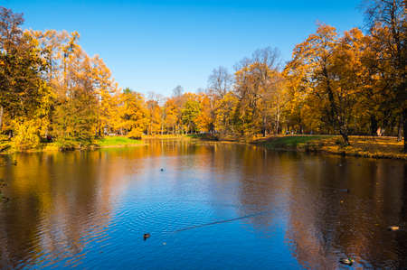 View of city park on Elagin island, Saint- Petersburg, Russiaの写真素材