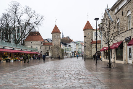TALLINN, ESTONIA - 24 FEBRUARY, 2019: Street of old Tallinn, capital of Estonia. Old Town is listedのeditorial素材