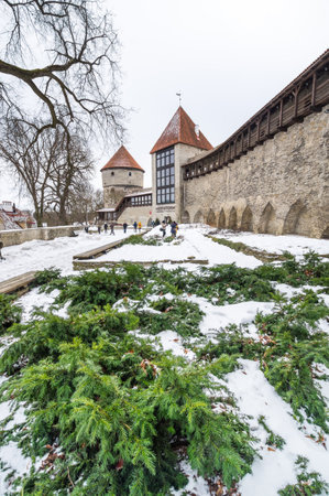 TALLINN, ESTONIA - FEBRUARY 23, 2019: Fortress wall of Old Town in Tallinn, Estonia.のeditorial素材