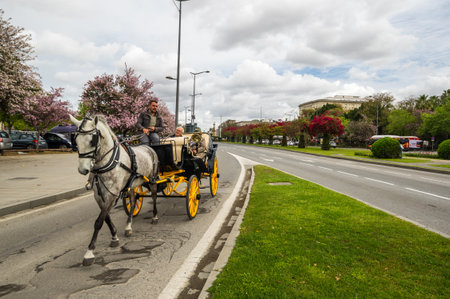 SEVILLE, SPAIN - 07 APRIL, 2019: View of the street in the historical center of Seville, a big tourist center in Spainのeditorial素材