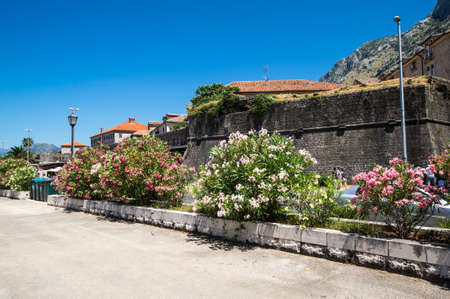 View of the street in Old Town of Kotor, Montenegroの写真素材